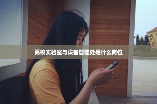 高校实验室与设备管理处是什么岗位
