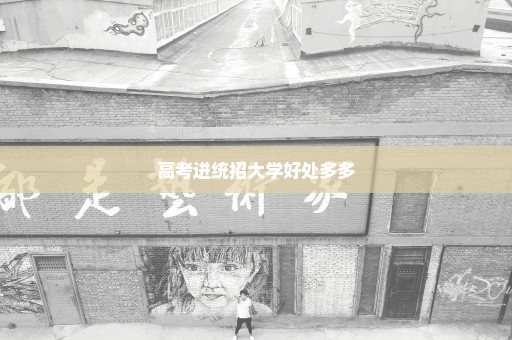 高考进统招大学好处多多