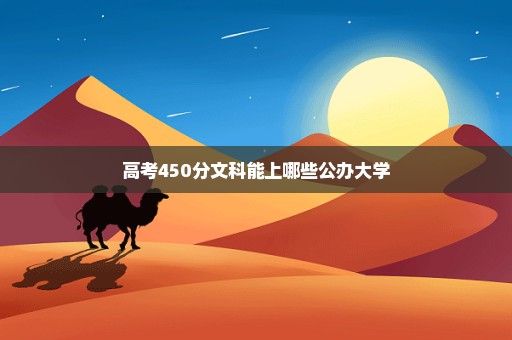 高考450分文科能上哪些公办大学