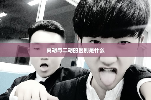 高胡与二胡的区别是什么