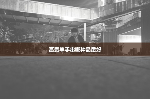 高贵羊手串哪种品质好