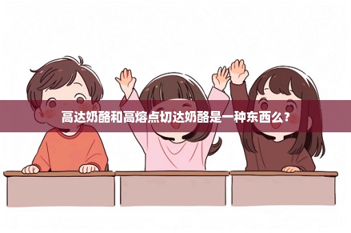 高达奶酪和高熔点切达奶酪是一种东西么？