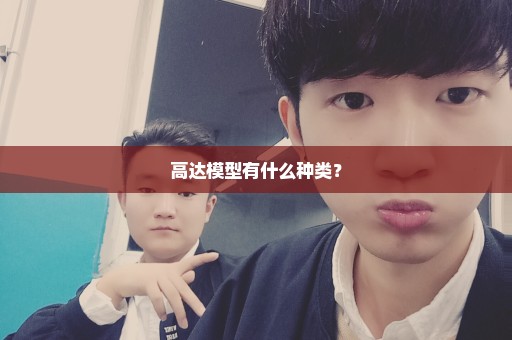高达模型有什么种类？