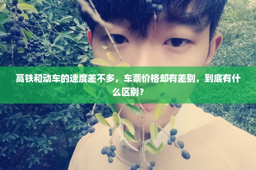 高铁和动车的速度差不多，车票价格却有差别，到底有什么区别？