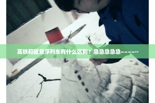 高铁和磁悬浮列车有什么区别？急急急急急~~~~··