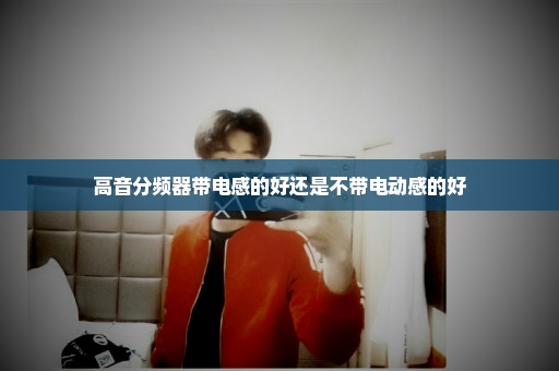高音分频器带电感的好还是不带电动感的好