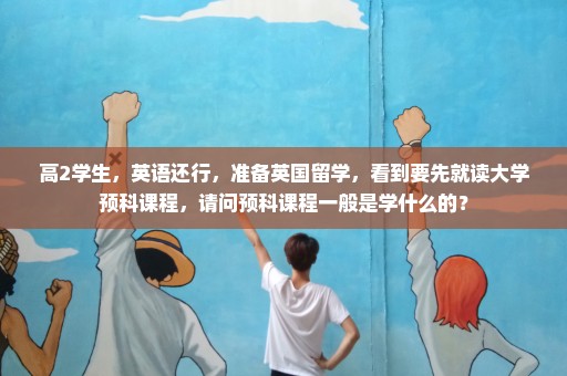 高2学生，英语还行，准备英国留学，看到要先就读大学预科课程，请问预科课程一般是学什么的？