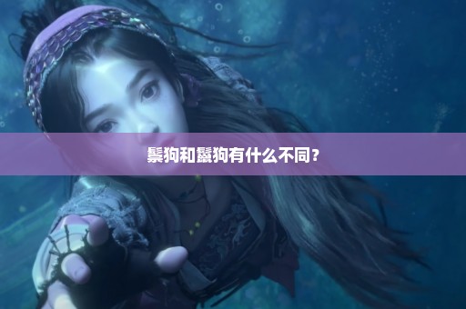 鬃狗和鬣狗有什么不同？