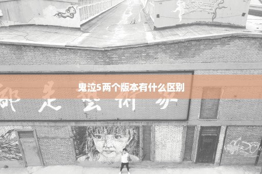 鬼泣5两个版本有什么区别