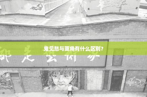 鬼见愁与菱角有什么区别？