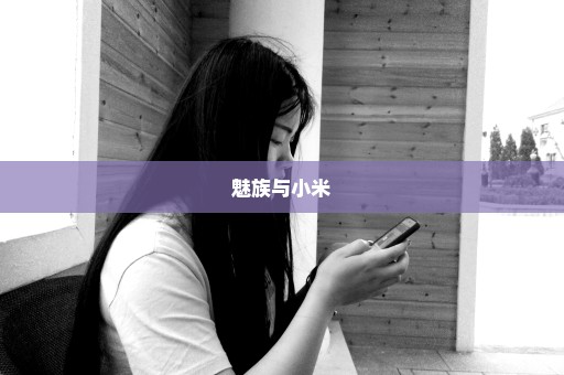 魅族与小米
