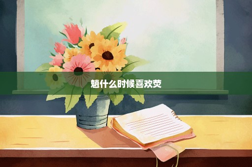 魈什么时候喜欢荧