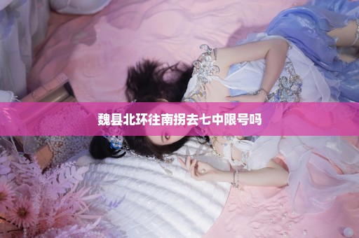 魏县北环往南拐去七中限号吗