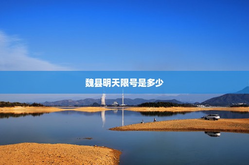 魏县明天限号是多少