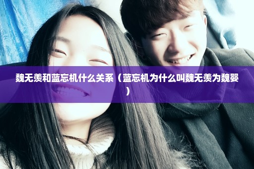 魏无羡和蓝忘机什么关系（蓝忘机为什么叫魏无羡为魏婴）