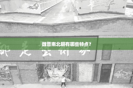 魏晋南北朝有哪些特点？