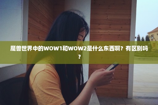 魔兽世界中的WOW1和WOW2是什么东西啊？有区别吗？
