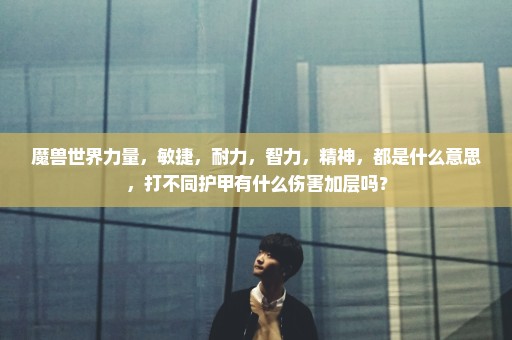 魔兽世界力量，敏捷，耐力，智力，精神，都是什么意思，打不同护甲有什么伤害加层吗？