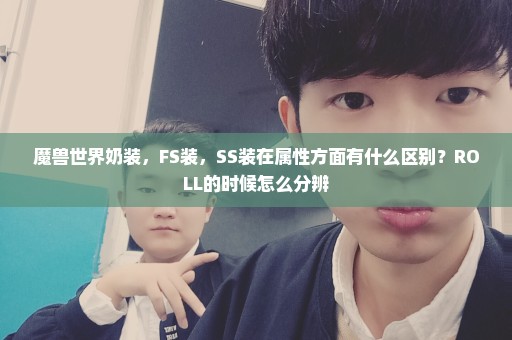 魔兽世界奶装，FS装，SS装在属性方面有什么区别？ROLL的时候怎么分辨