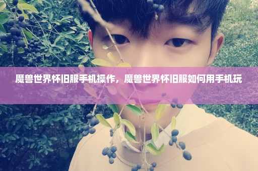 魔兽世界怀旧服手机操作，魔兽世界怀旧服如何用手机玩 