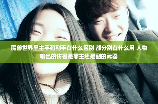 魔兽世界里主手和副手有什么区别 都分别有什么用 人物输出的伤害是靠主还是副的武器