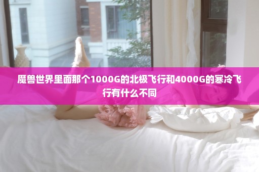 魔兽世界里面那个1000G的北极飞行和4000G的寒冷飞行有什么不同
