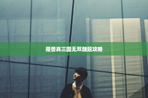 魔兽真三国无双魏延攻略
