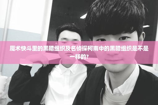 魔术快斗里的黑暗组织及名侦探柯南中的黑暗组织是不是一样的?