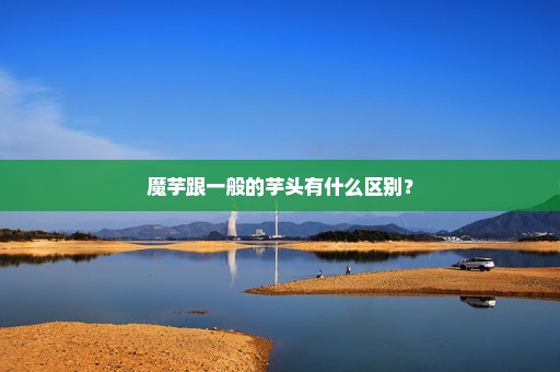 魔芋跟一般的芋头有什么区别？