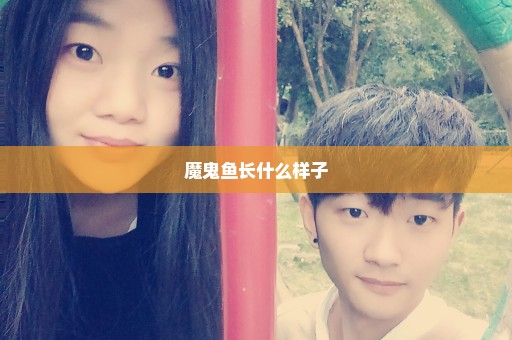 魔鬼鱼长什么样子