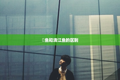 鮰鱼和清江鱼的区别