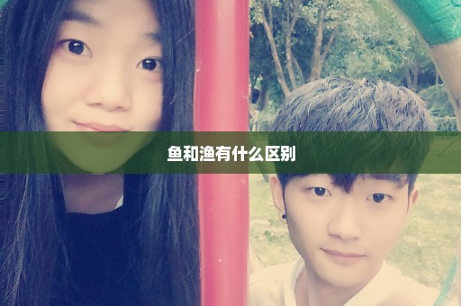 鱼和渔有什么区别