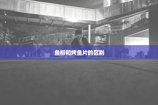 鱼柳和烤鱼片的区别