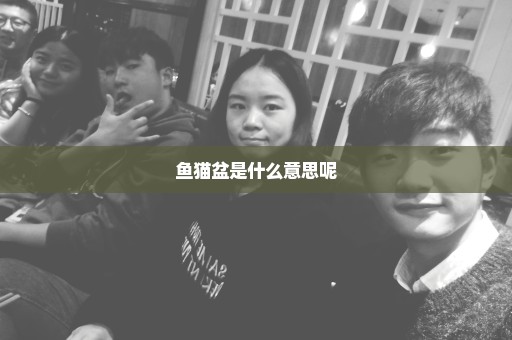 鱼猫盆是什么意思呢