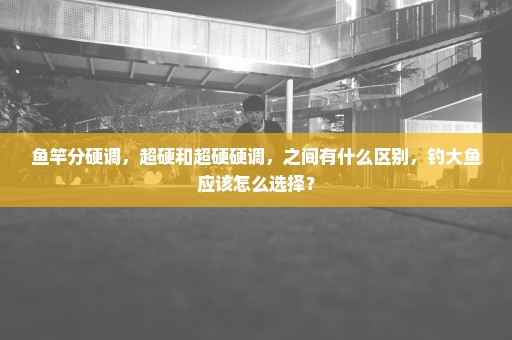 鱼竿分硬调，超硬和超硬硬调，之间有什么区别，钓大鱼应该怎么选择？