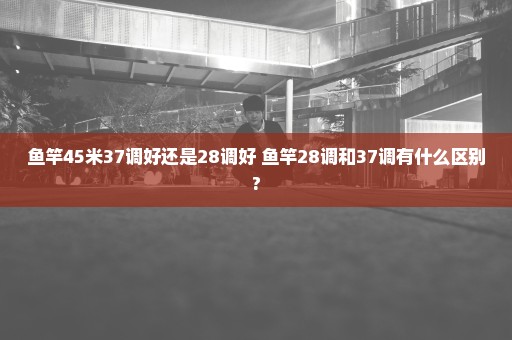 鱼竿45米37调好还是28调好 鱼竿28调和37调有什么区别?