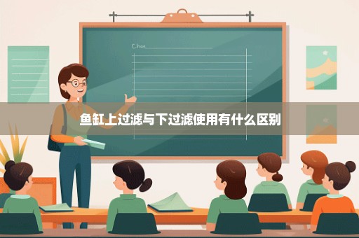 鱼缸上过滤与下过滤使用有什么区别