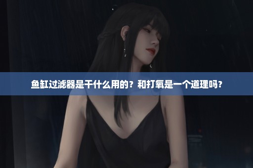 鱼缸过滤器是干什么用的？和打氧是一个道理吗？