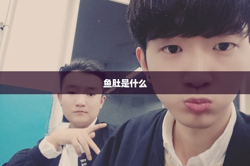 鱼肚是什么