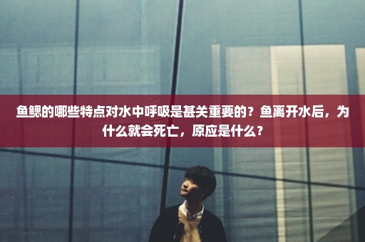 鱼鳃的哪些特点对水中呼吸是甚关重要的？鱼离开水后，为什么就会死亡，原应是什么？