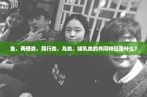 鱼，两栖类，爬行类，鸟类，哺乳类的共同特征是什么？
