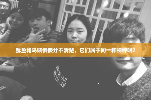 鱿鱼和乌贼傻傻分不清楚，它们属于同一种物种吗？