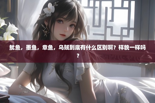 鱿鱼，墨鱼，章鱼，乌贼到底有什么区别啊？样貌一样吗？