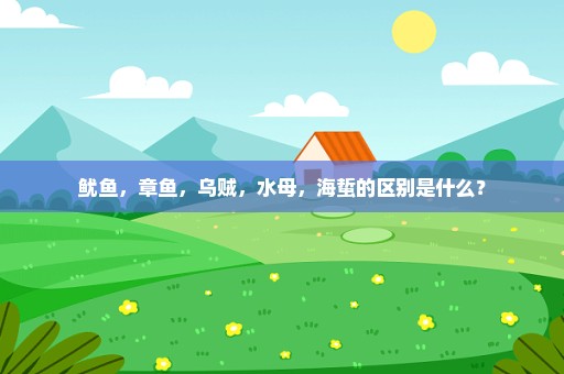 鱿鱼，章鱼，乌贼，水母，海蜇的区别是什么？