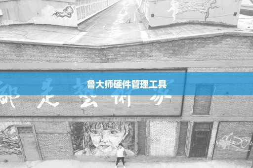 鲁大师硬件管理工具