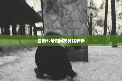 鲁班七号如何发育比较快