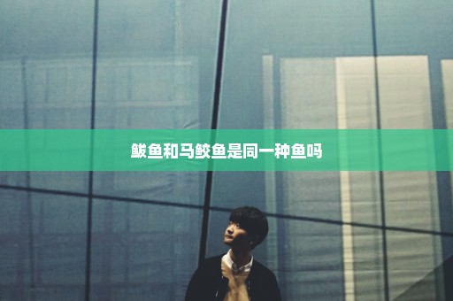 鲅鱼和马鲛鱼是同一种鱼吗