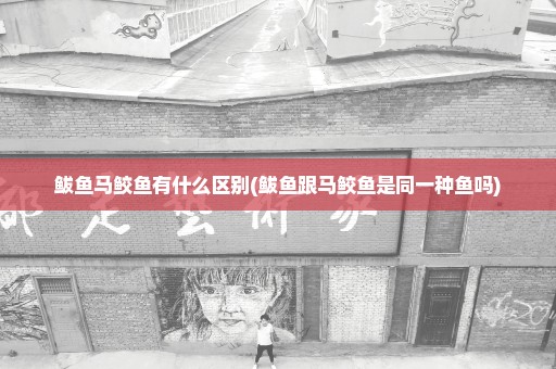 鲅鱼马鲛鱼有什么区别(鲅鱼跟马鲛鱼是同一种鱼吗)