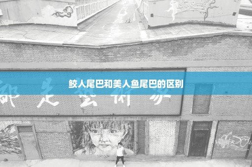 鲛人尾巴和美人鱼尾巴的区别