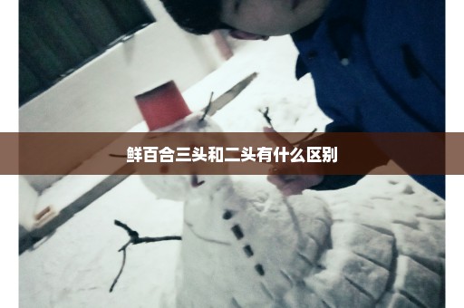 鲜百合三头和二头有什么区别